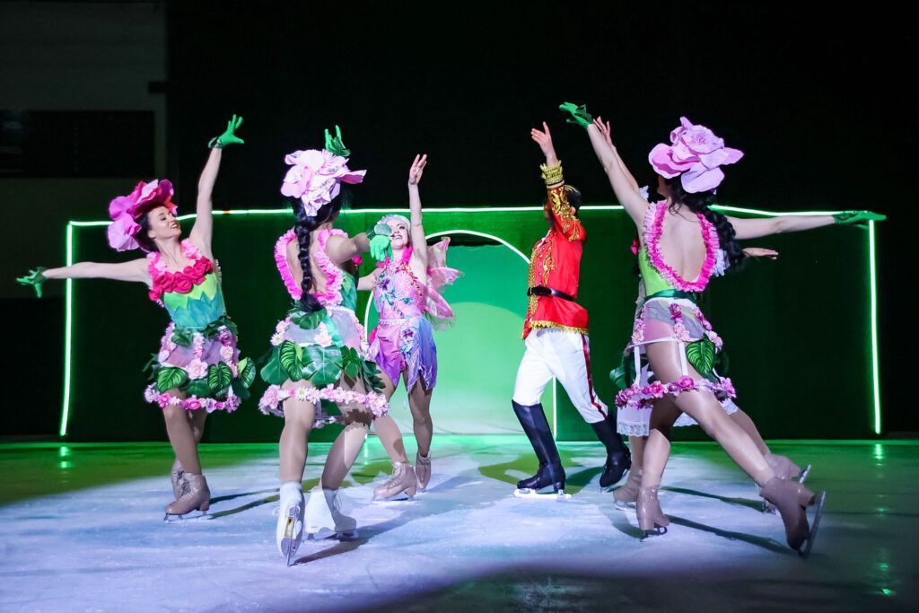 Spectacle sur glace - il était une fée